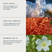 Elemis Pro-Collagen Rose Micro Serum 30ml