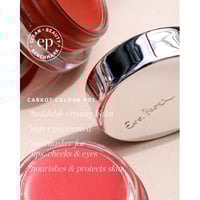 Ere Perez Carrot Colour Pot Harmony 6.5g