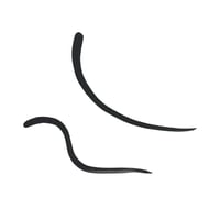 essence Eyeliner Líquido Liquid Ink 3ml