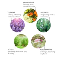 Evolve Pure Tranquility Aromatic Hand & Body Lotion 250ml