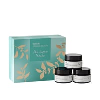 Evolve The Super Treats Coffret