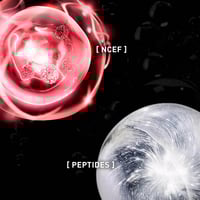 Filorga UV Cellular-Protect Face Sunscreen SPF50+ 40ml