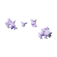 Benamôr Jacarandá Calming Hand Cream 50ml