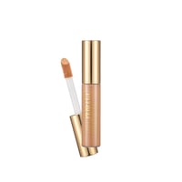 Flormar Stay Perfect Concealer