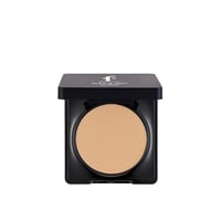 Flormar Wet & Dry Compact Powder 009 Honey 10g