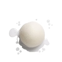 Garnier Bio Organic Konjac Botanical Cleansing Sponge x1