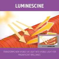 Goldwell Dualsenses Blondes & Highlights Anti-Yellow Shampoo 250ml (8.45floz)