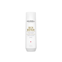 Goldwell Dualsenses Rich Repair Restoring Shampoo 250ml