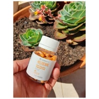 Heliocare Sun Capsules Sun Supplement x60