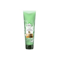 Herbal Essences Bio Renew Pure Aloe & Avocado Oil Conditioner 275ml