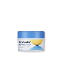 Holika Holika CeraBarrier Moisture Active Cream 50ml