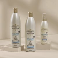 Il Salone Milano Detox Regenerator 500ml