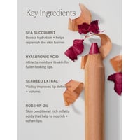 ILIA Beauty Lip Sketch Hydrating Crayon Pampas 2.3g