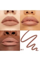 Maybelline Lifter Liner Lip Liner 05 On It