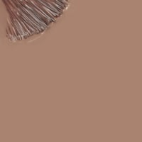 INOCOS Like Gel 2 Long Color Nail Polish 140 Earth Nude 11ml