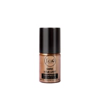 J.Cat Shine Your Day! Shimmery Powder 108 Earth Mango 3g