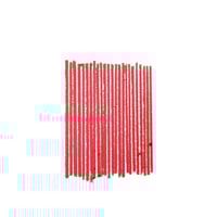M.A.C Cosmetics Lip Pencil Ruby Woo 1.45g