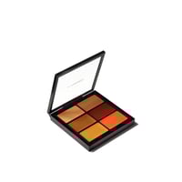 M.A.C Cosmetics Studio Fix Conceal and Correct Palette