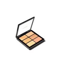 M.A.C Cosmetics Studio Fix Conceal and Correct Palette