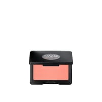 Make Up For Ever Artist Blush Powder