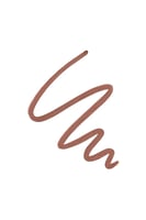 Maybelline Lifter Liner Lip Liner 05 On It