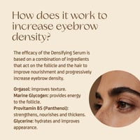 Nuggela & Sulé Brow Serum Densifier + Brush 5ml