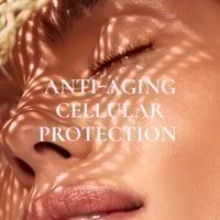 NUXE Sun Fresh Sun Mist SPF30 150ml