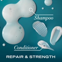 OGX Renewing + Argan Oil of Morocco Conditioner 385ml