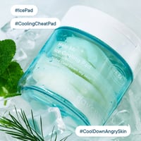 One-day's you Help Me! Ice Cooling Pad x80