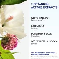 Phyto 7 Elixir Universal Day Cream 50ml