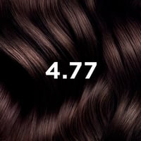 Phytocolor Permanent Color Shade 4.77 Intense Chestnut Brown