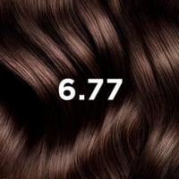 Phytocolor Permanent Color Shade 6.77 Light Brown Cappuccino