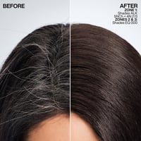Redken Shades ALK Liquid-Cream Alkaline pH Demi-Permanent Hair Dye 10P Ivory Pearl 60ml