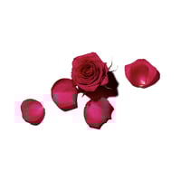 Benamôr Rose Amélie Revitalizing Body Lotion 300ml