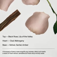 Salt & Stone Hand Cream Black Rose & Oud 60ml