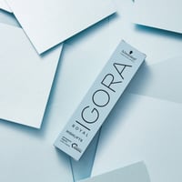 Schwarzkopf Igora Royal Highlifts Crema de Color Permanente 12-1 Special Blonde Ash 60ml