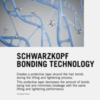 Schwarzkopf Igora Royal Highlifts Permanent Highlift Color Creme 12-21 Special Blonde Ash Cendré 60ml