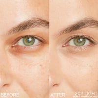 Shiseido Synchro Skin Radiant Lifting Concealer 202 2.7g