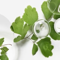 Sisley Paris Ecological Compound Advanced Formula 60ml