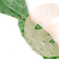 STARSKIN ORGLAMIC™ Pink Cactus Mask x1