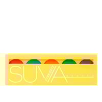 SUVA Beauty UV Brights Hydra FX Palette 5x2g