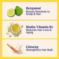 The Powder Shampoo Invigorating Shampoo Bergamot & Thyme 20g