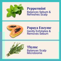 The Powder Shampoo Purifying Shampoo Peppermint & Thyme 20g