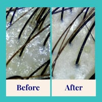 The Powder Shampoo Purifying Shampoo Peppermint & Thyme 20g