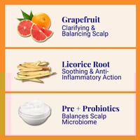 The Powder Shampoo Strengthening Shampoo Grapefruit & Thyme 70g