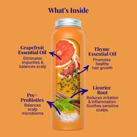 The Powder Shampoo Strengthening Shampoo Grapefruit & Thyme 70g