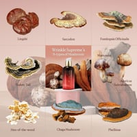 The Skin House Wrinkle Supreme Emulsion 130ml