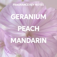 Wella Elements Renewing Mask 500ml