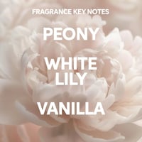 Wella Oil Reflections Shampoo 1L