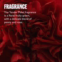 Wella Ultimate Repair Step 5 Night Serum 30ml